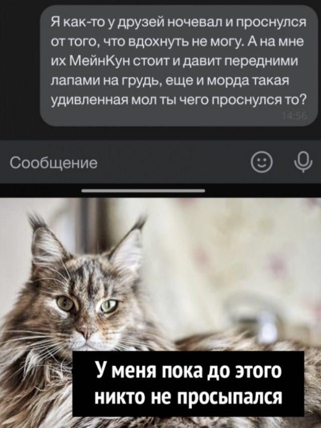 Картинки и мемы для настроения 19.05.2021