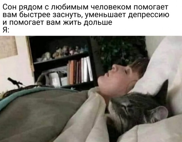 Картинки и мемы для настроения