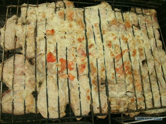 Пятничные посиделки на теплотрассе ©