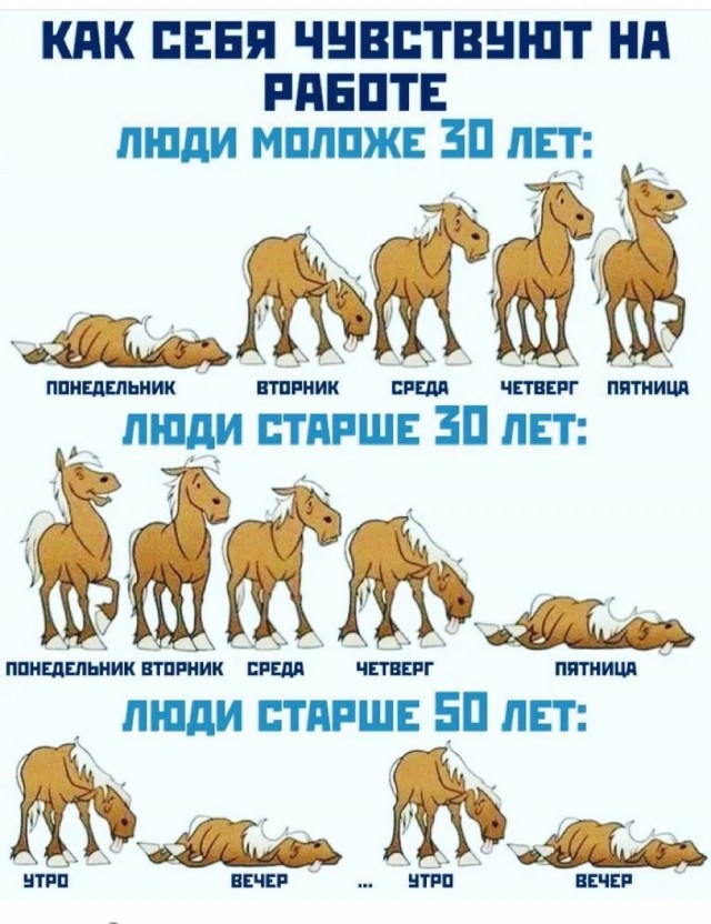 Картинки и мемы, всем прекрасных выходных