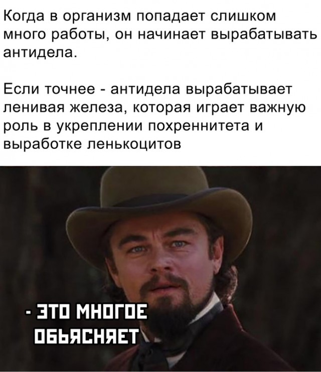 Картинки и мемы для настроения 12.10.2021