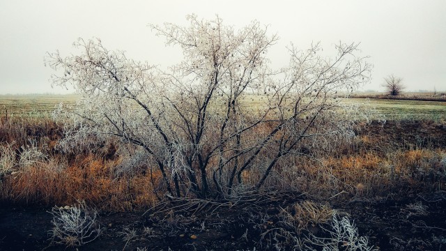 Моя мобильная фотография