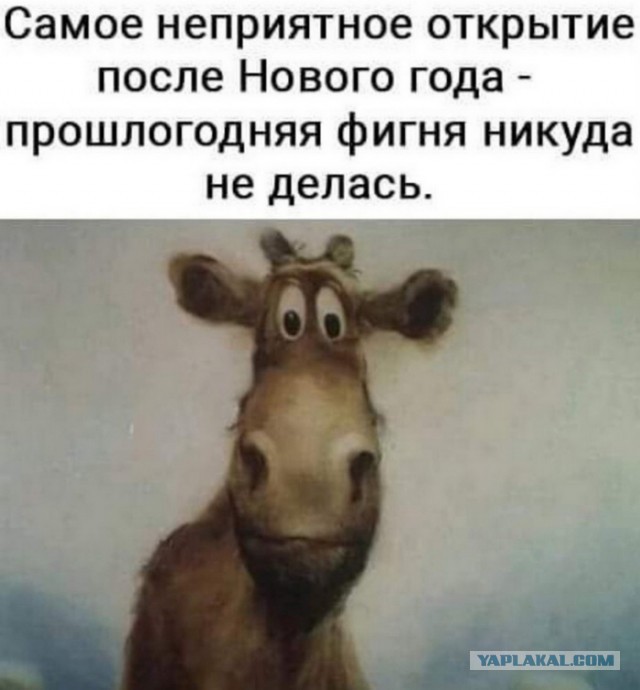 Друзья! а я вам подарочек приготовил!