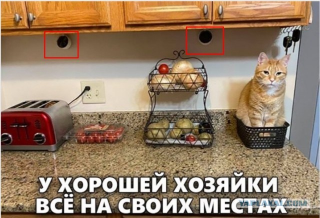 Всяческие картинки 02.02.2022