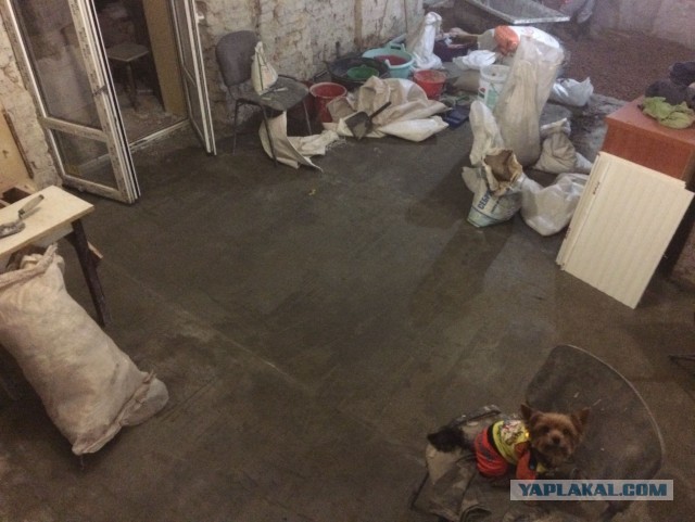 Ремонт квартиры с минус десяти