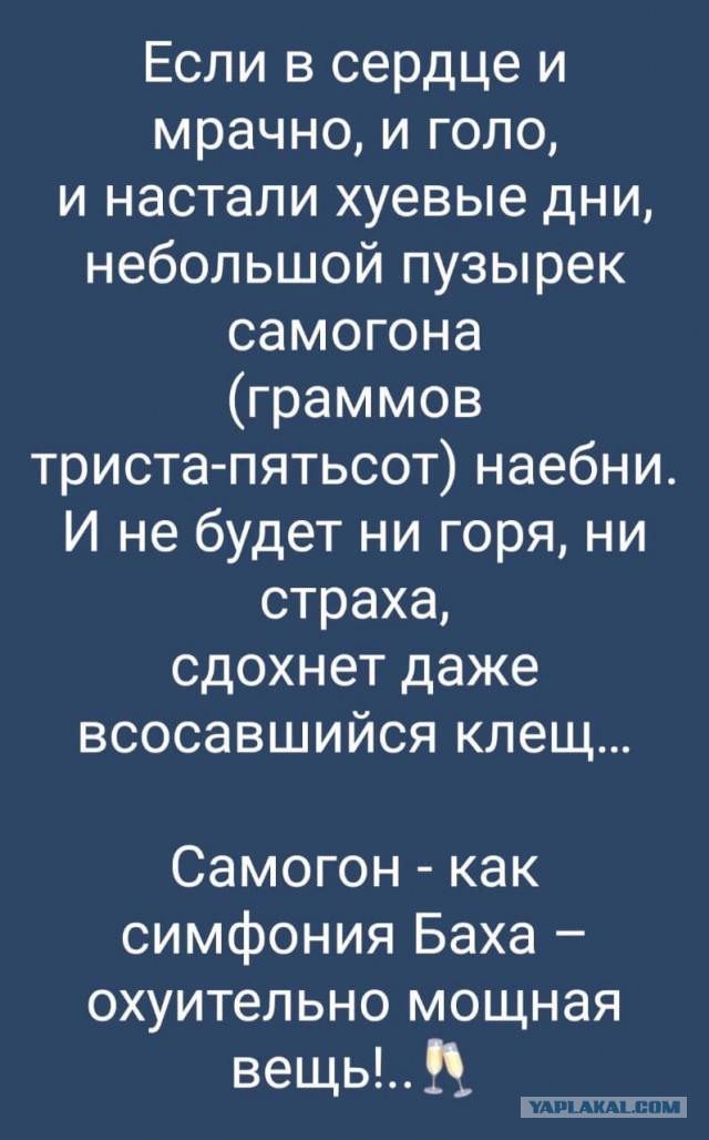 Алкопост 11.02.22