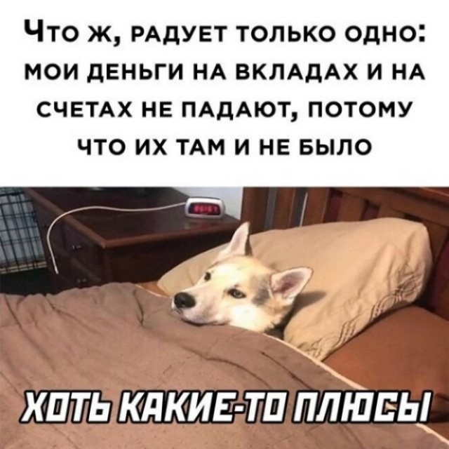 Алкопост 25.02.22
