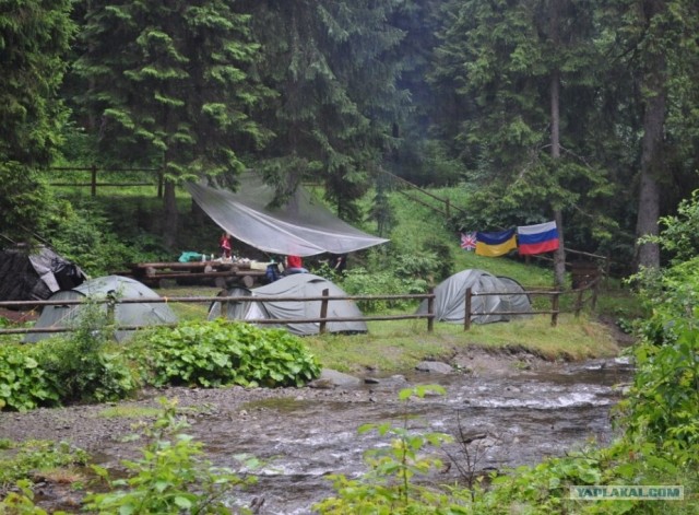 Карпаты 2011