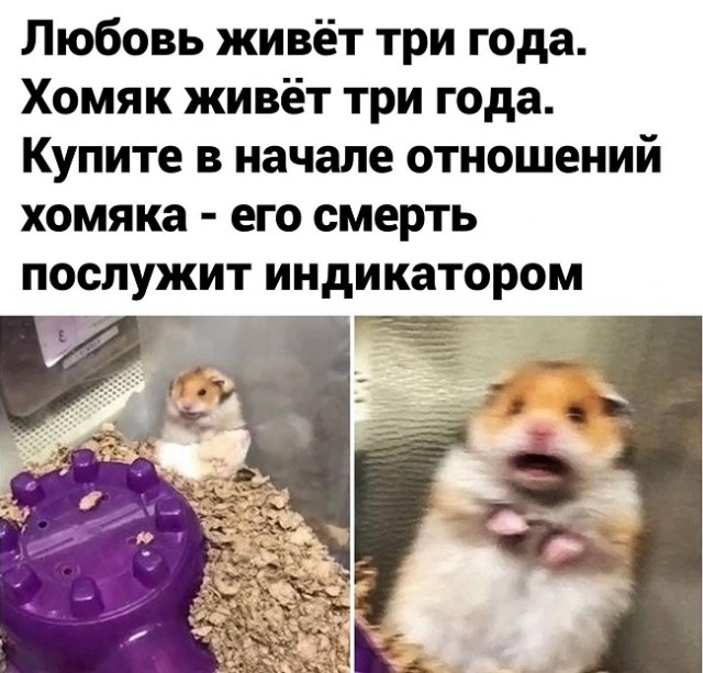 Картинки с надписями и всякие жизненные фразы