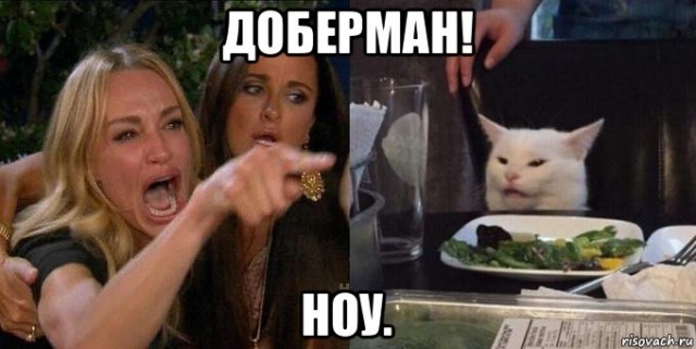 Нападение добермана на бабку