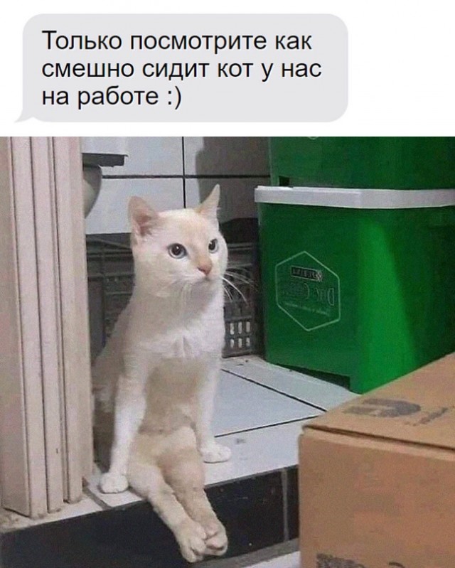Картинки и мемы для настроения - 15