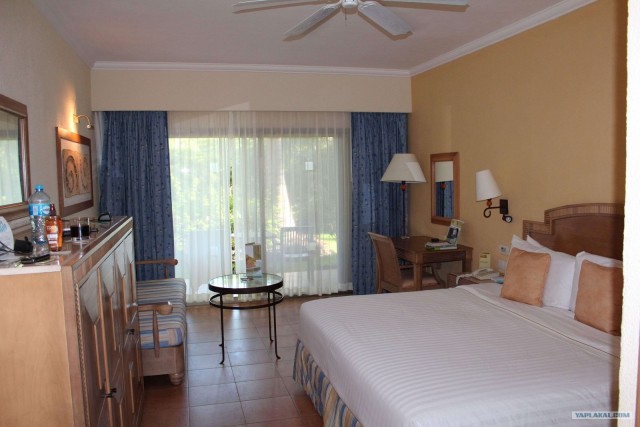 Поездка в Мексику (за деньги)