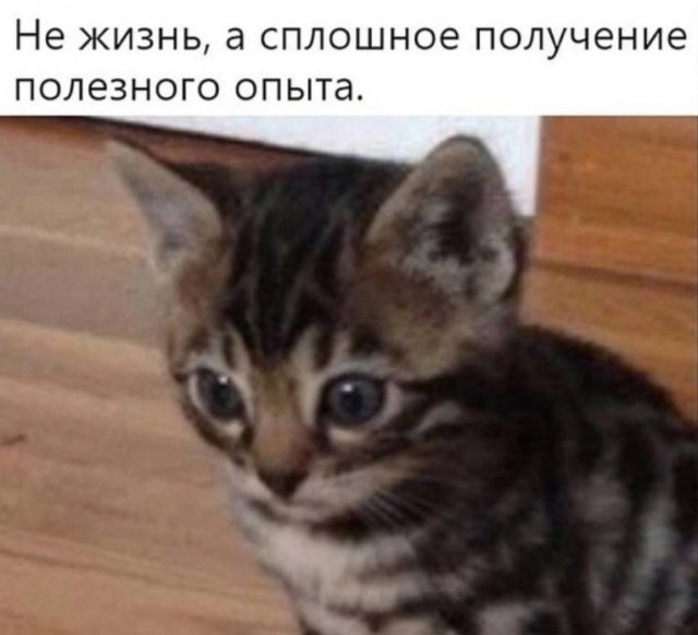 Народная меДИЧина 13.10