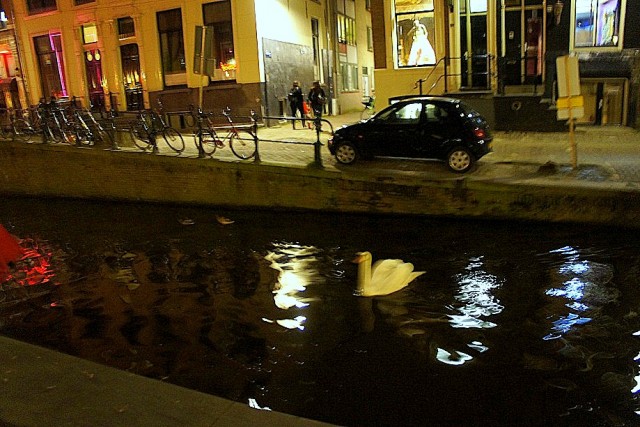 Автотур "Опять несет куда глаза глядятъ"