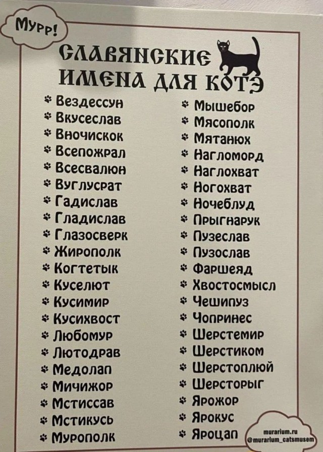 Картинки и мемы. Выходные близко...