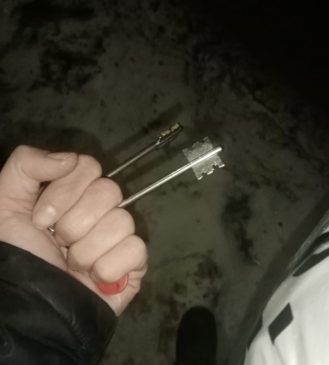 Атака собаки отбита