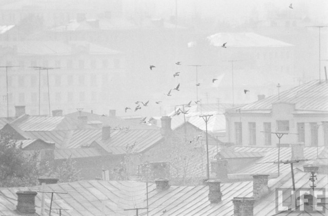 Москва и москвичи, 1962-1963 гг
