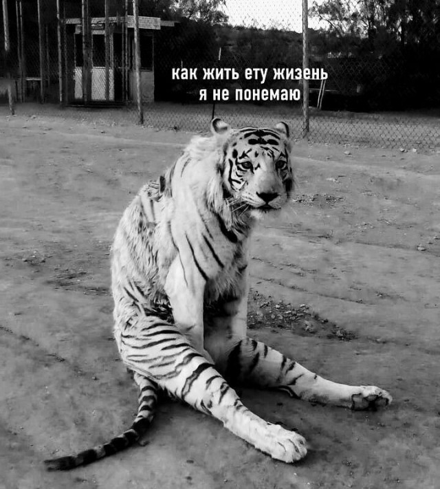 Немного картинок для настроения - 161