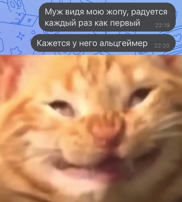 Весёлый полтишок 25.04.23