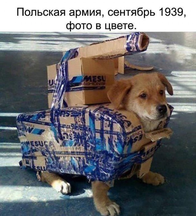 Это сладкое слово - репарации. И это заразно.