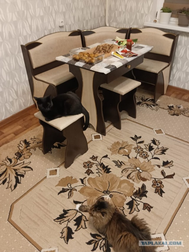 Всех с субботой