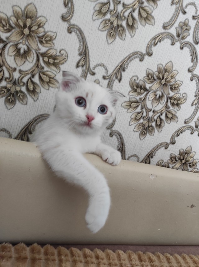Прогнать бессонницу