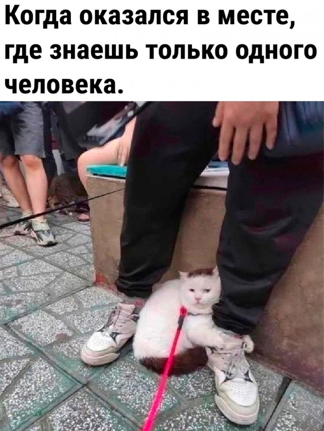 Так себе картинки 08.07.23