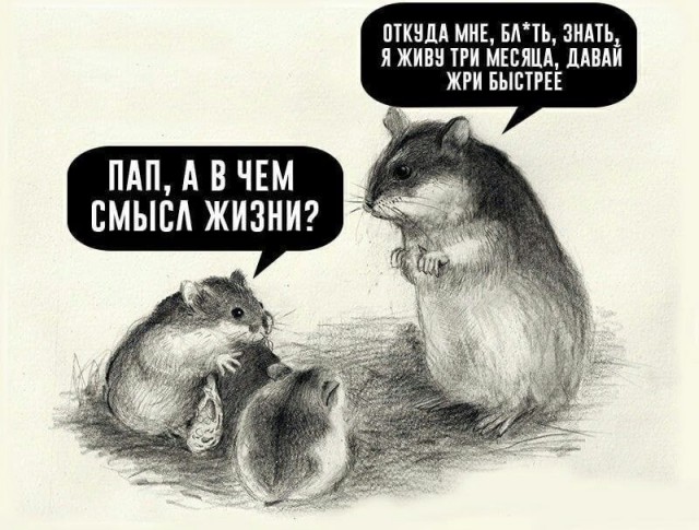 Школа джедаев. Начало