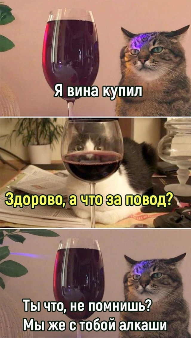44 пятничных картинки 20.10.2023