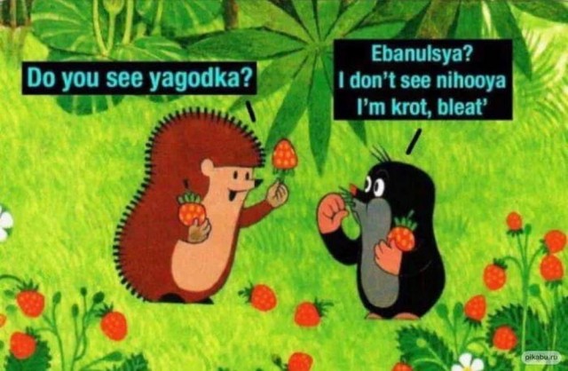 Отряд быстрого деградирования