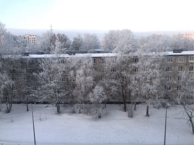 Утренний сюрприз