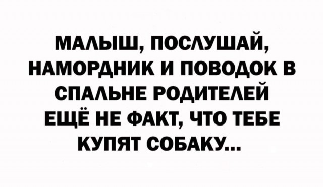 Пятничные улыбательные картинки