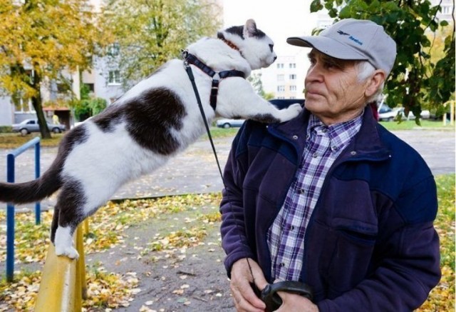 Лёва-феномен: степной кот-легкоатлет из Калининграда стал знаменитостью