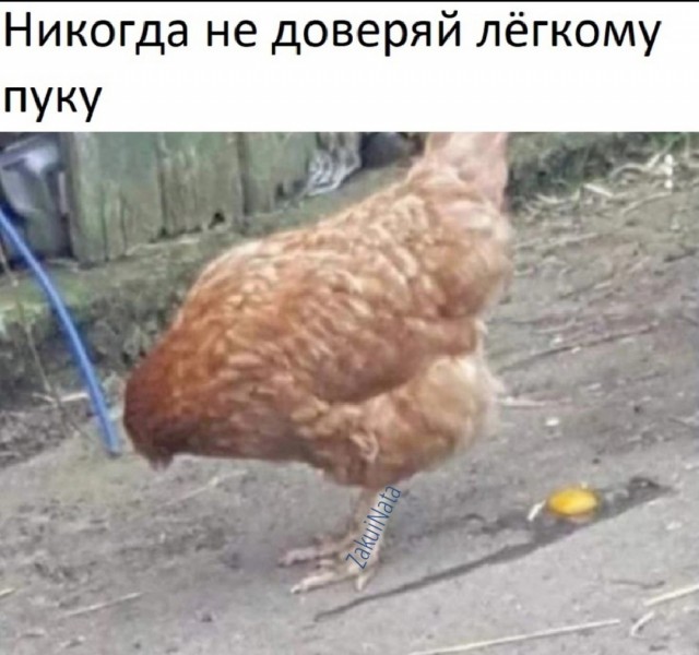 Юмор в картинках и без