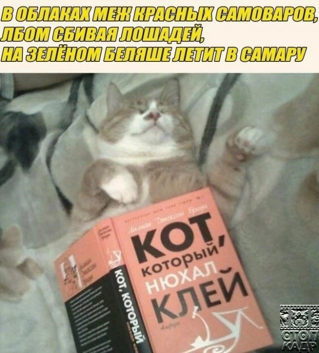 Юмор в картинках и без