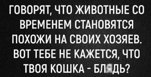 Баянистые деградинки