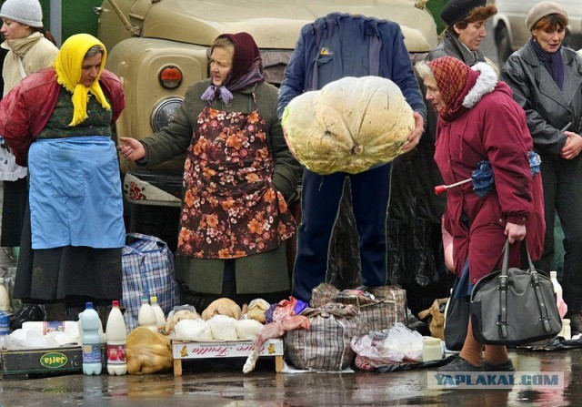 Быстрая тихая охота