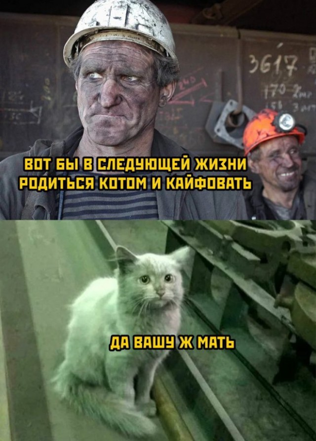 Картинки разные с надписями и без