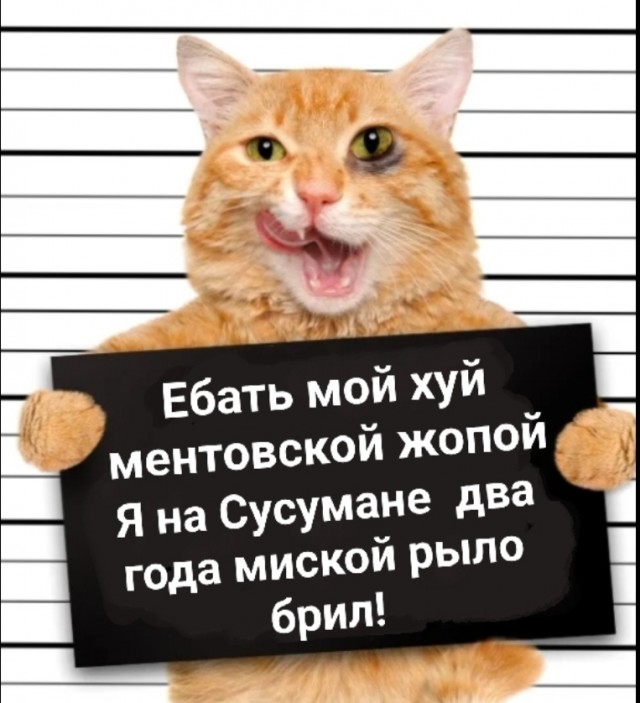 Умышленное преступление