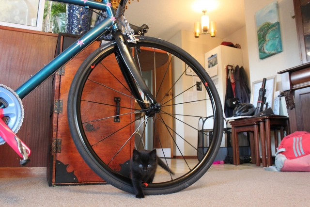 Знакомьтесь, это Гремлин