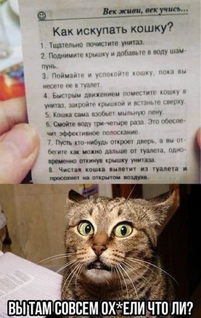 Так себе картинки 15.05.25