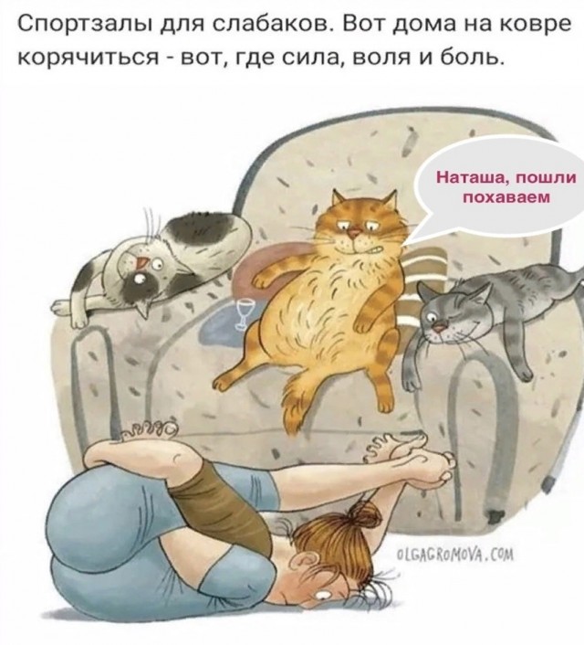 Так себе картинки 04.06.25