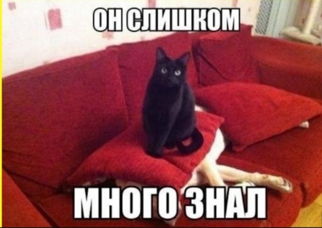Завалялось тут случайно немного забавных картинок
