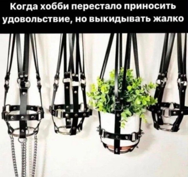Так себе картинки 03.08.25