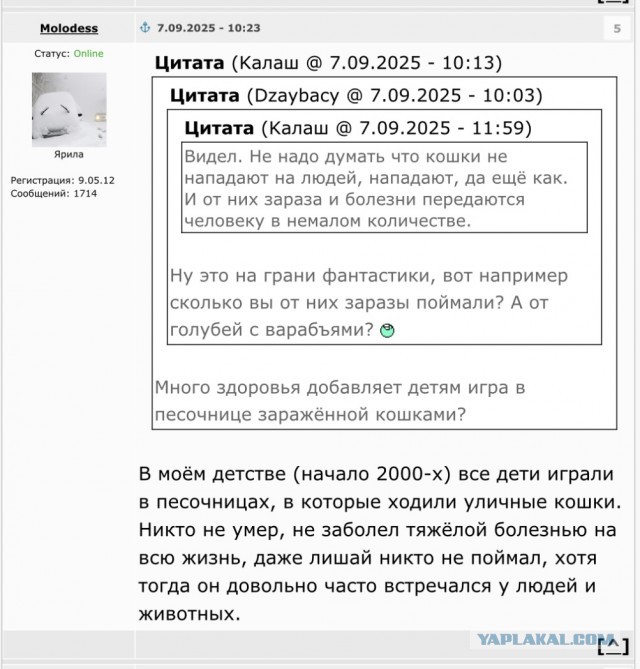 В Башкирии полиция ищет мужчину, напавшего на пенсионерку и её собачку на прогулке.