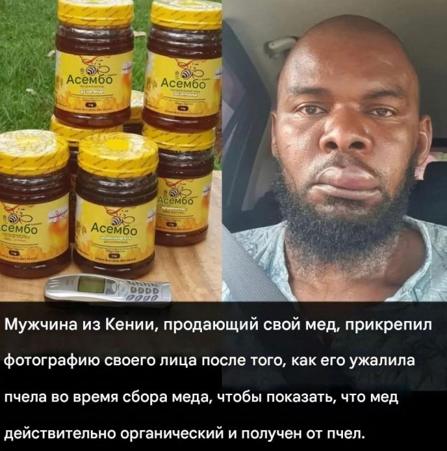 Прикольные и просто красивые картинки