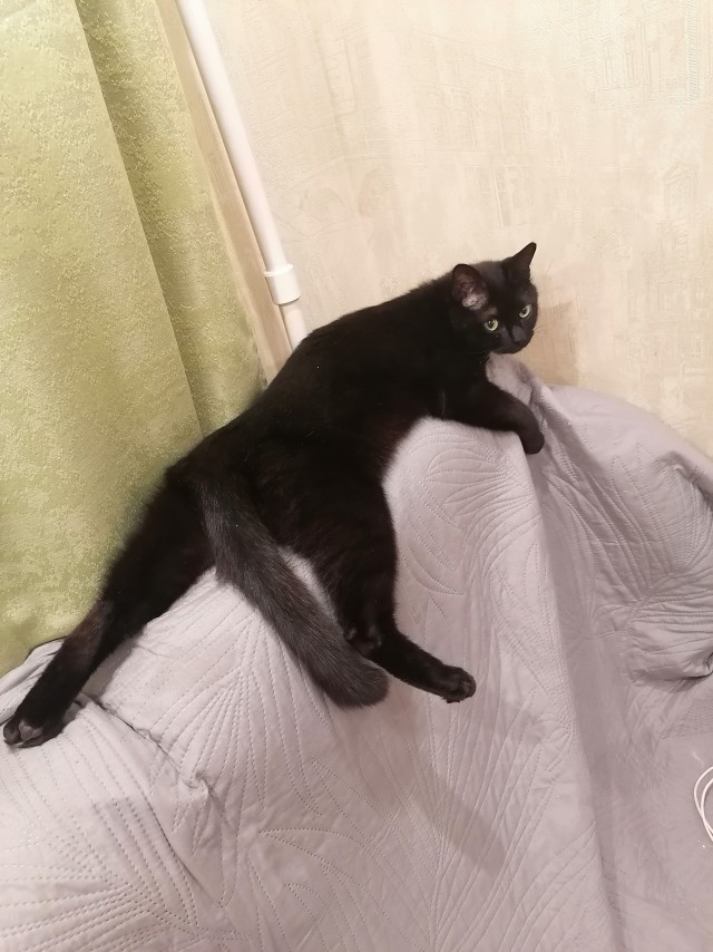 Вот такое оно - одиночество