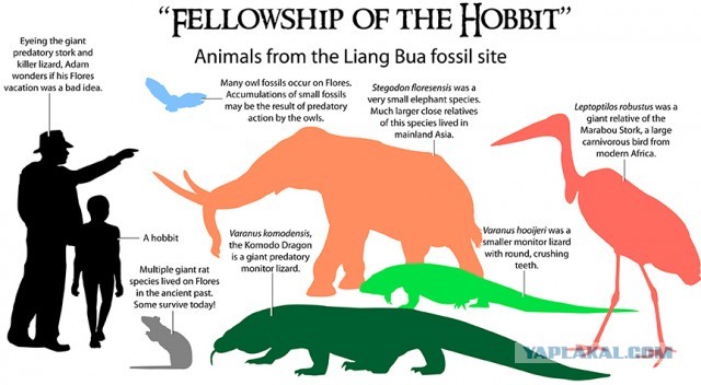К сожалению, хоббиты существовали на самом деле