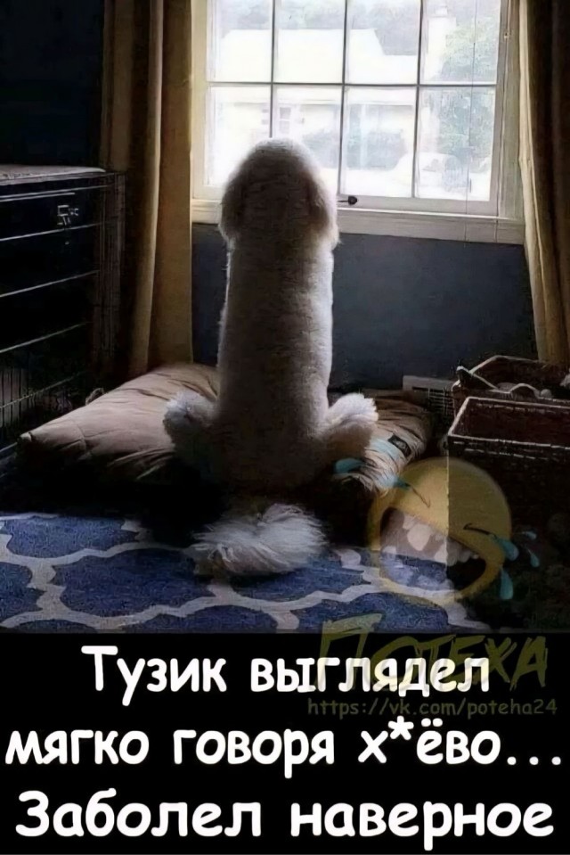 Вечер воскресенья