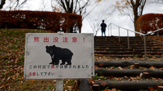 Внезапные новости из Японии